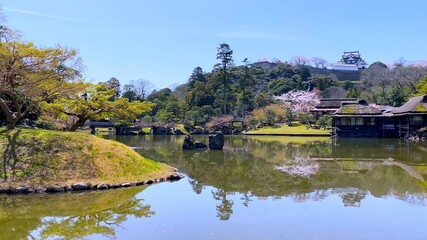 日本の国宝・彦根城の日本庭園　桜花の「玄宮園」から天守閣を眺める