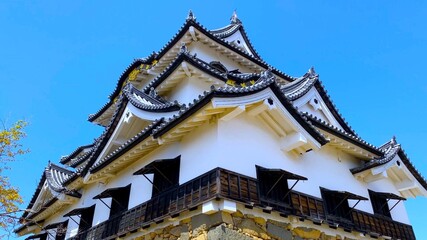 Fototapeta na wymiar 春の近江・桜の季節　国宝・彦根城の天守閣