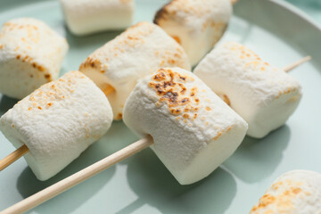 Skewers with delicious grilled marshmallow on plate, closeup