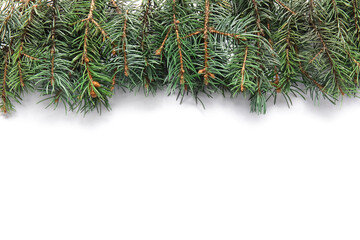 Naklejka na ściany i meble Christmas fir branches on white background