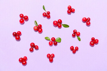 Ripe lingonberry on lilac background