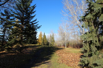 path in the park, Gold Bar Park, Edmonton, Alberta