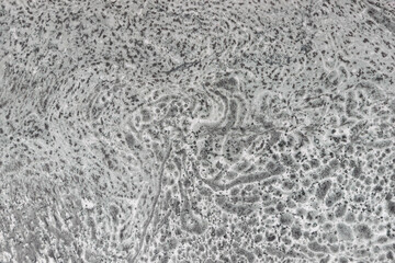 Abstract background with lines and points. Gray interested texture.