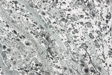 Abstract background with points and lines. Black and white texture. Oil paint on the paper.