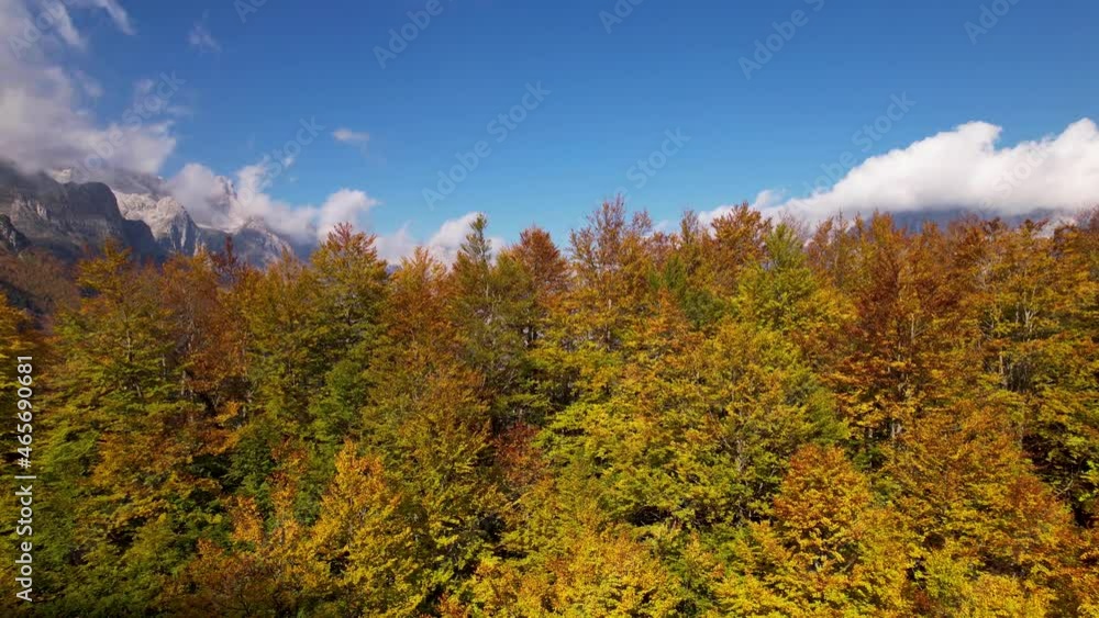 Poster autumn color palette in tall tree peaks with alps mountains background in a cloudy day