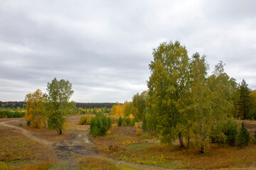 Landscape of the place 'Bear's Hill' in Russia.An attraction is a place called 'Bear's Hill'. Russia, Kurgan region, Shadrinsky district