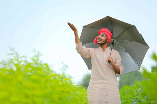 Young Indian Farmer Using Umbrella And Walking At Agriculture Field.