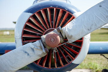 The screw of the blue plane in the case is in the field