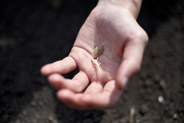 Farmer holds a seed in his hand, agriculture theme