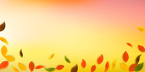 Falling autumn leaves. Red, yellow, green, brown neat leaves flying. Falling rain colorful foliage on shapely white background. Captivating back to school sale.