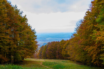Obraz premium Landscape from a top of a mountain