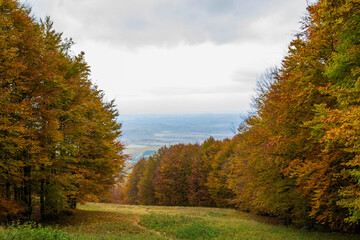 Obraz premium Landscape from a top of a mountain