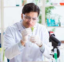 Male biochemist working in the lab on plants