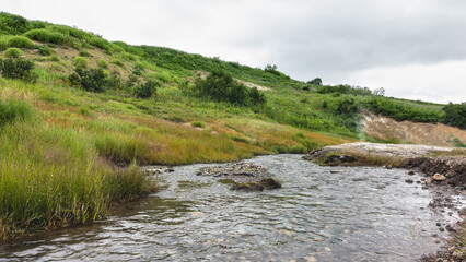 The stream flows from a hot spring in the valley. There are sulfur deposits on the soil. The steam from the fumarole is visible. Green vegetation on the hillside. Cloudy.  Kamchatka