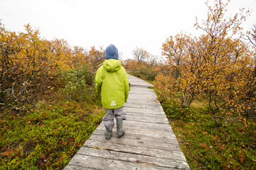 The kid walks along the tundra along a wooden path. Dwarf forest 
