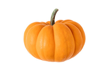 Fresh miniature pumpkin on an isolated white background