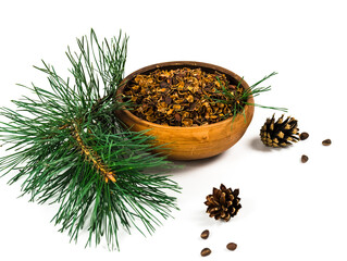 Pine nuts shell in the bowl, cedar branch, nuts  and cones isolated on white background