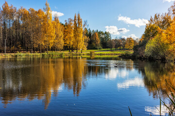 Obraz premium Autumn landscape in the park