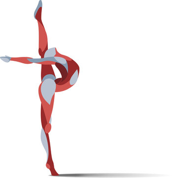 Curly gymnastics, ballet, acrobatics, smooth shapes vector silhouette of flexy athletic girl
