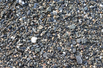 Stone on the beach