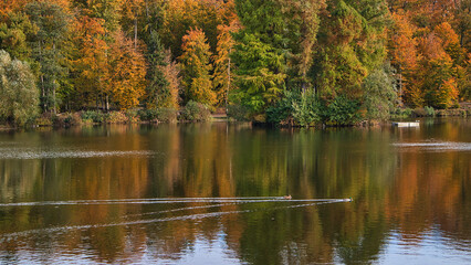 Enten schwimmen auf einem See im Herbst