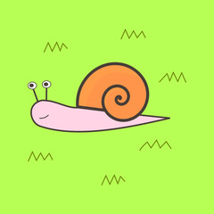 snail on the grass