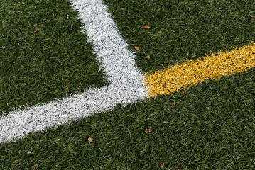 Lines in a soccer field, yellow and white