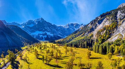 Großer Ahornboden im Herbst, Karwendelgebirge, Tirol, Österreich, Europa