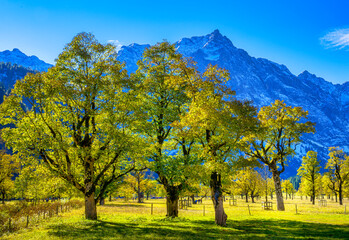 Großer Ahornboden, Karwendelgebirge, Tirol, Österreich, Europa