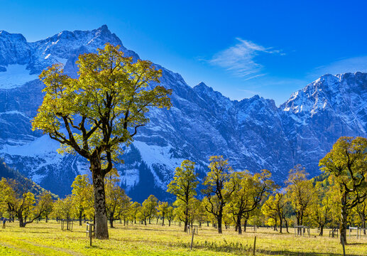 Gro&szlig;er Ahornboden, Karwendelgebirge, Tirol, &Ouml;sterreich, Europa