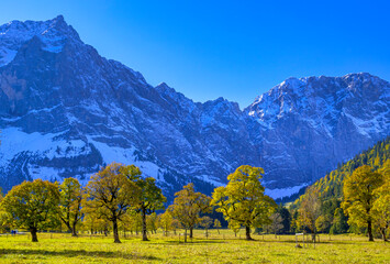Großer Ahornboden, Karwendelgebirge, Tirol, Österreich, Europa