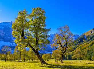 Großer Ahornboden, Karwendelgebirge, Tirol, Österreich, Europa