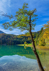 Alatsee bei F&uuml;ssen, Allg&auml;u, Bayern, Deutschland