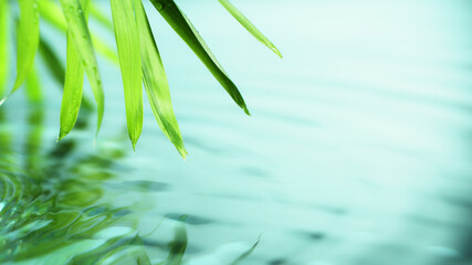 Fototapeta na wymiar Spa and wellness background with water and leaves