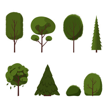 Vector set of different green trees. Flat stylish illustration. Varieties of deciduous and pine trees isolated on white background.