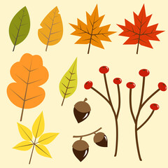 autumn leaves for holidays, thanksgiving, Christmas, fall