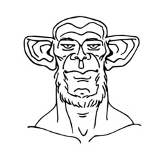 The head of a male chimpanzee with large ears. Avatar. Vector illustration with contour lines in black ink isolated on a white background in cartoon and hand-drawn style.