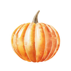Watercolor illustration – Pumpkin on white background.