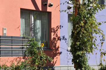 Fototapeta na wymiar Colorful eco apartments in Brussels