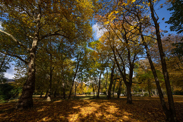 Obraz premium Bad Münster am Stein Ebernburg Oktober 2021