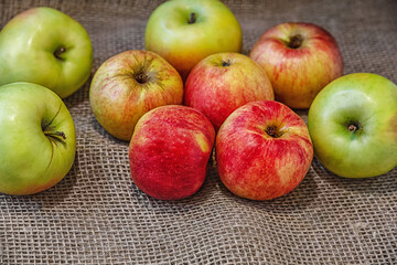 ripe juicy red and green apples grown in a personal garden on burlap cloth close up