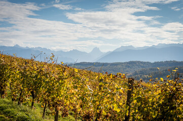 Vignobles du Jurançon