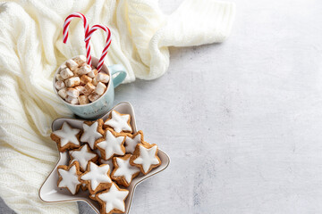 Gingerbread with mug of hot chocolate and christmas candy cane.