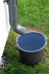 Collecting rainwater in a bucket. Saving water.