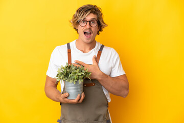 Gardener blonde man holding a plant isolated on yellow background surprised and shocked while...