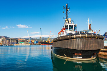 Naklejka premium International port in the Gulf of La Spezia with a tugboat and a container ship. Liguria, Italy, Europe.