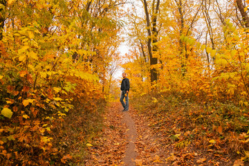 Fototapeta premium A man is standing on the pathway through autumn forest, among trees and shrubs, a maple leaf in his hands, enjoys autumn and nature