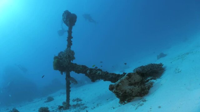 A historic first fleet anchor sits upright deep below the ocean surface at Lady Elliot Island. Underwater view