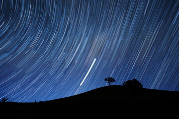 Star trail over silhouetted hill and tree