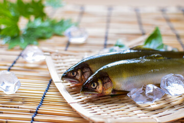 夏の日本料理は川魚の鮎